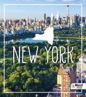 New York di Tyler Maine edito da CAPSTONE PR