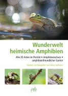 Die Wunderwelt der heimischen Amphibien di Farina Graßmann edito da Pala- Verlag GmbH