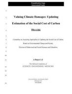 VALUING CLIMATE DAMAGES di National Academies Of Sciences Engineeri, Division Of Behavioral And Social Scienc, Board On Environmental Change And Soci edito da NATL ACADEMY PR