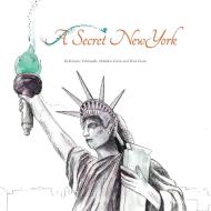 A Secret New York di Kristine Valenzuela, Peter Green edito da DOCTORZED PUB