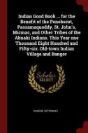 Indian Good Book ... for the Benefit of the Penobscot, Passamaquoddy, St. John's, Micmac, and Other Tribes of the Abnaki di Eugene Vetromile edito da CHIZINE PUBN