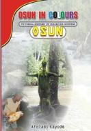 Osun in Colours: Pictorial History of the River Goddess, Osun di Kayode Afolabi edito da Booksurge Publishing