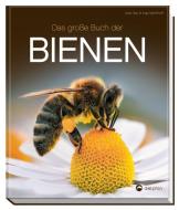 Das große Buch der Bienen di Jutta Gay, Inga Menkhoff edito da Delphin Verlag GmbH