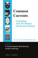 Common Currents: Examining How We Manage the Ocean Commons edito da BRILL NIJHOFF