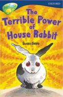 Oxford Reading Tree: Stage 14: Treetops: More Stories A: The Terrible Power Of House Rabbit di Malchay Doyle, Susan Gates, Nick Warburton, Margaret McAllister, David Clayton, Jean May edito da Oxford University Press