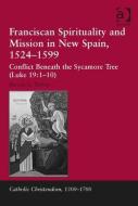 Franciscan Spirituality and Mission in New Spain, 1524-1599: Conflict Beneath the Sycamore Tree di Steven E. Turley edito da ROUTLEDGE