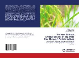 Indirect Somatic Embryogenesis of Japonica Rice Through Anther Culture di Avinash Sharma, Nirupa Kumari, Monoj Sutradhar edito da LAP Lambert Academic Publishing