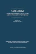 Calcium: The molecular basis of calcium action in biology and medicine di Roland Pochet, Rosario Donato, Jacques Haiech edito da Springer Netherlands