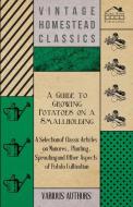 A   Guide to Growing Potatoes on a Smallholding - A Selection of Classic Articles on Manures, Planting, Sprouting and Ot di Various edito da Mallock Press