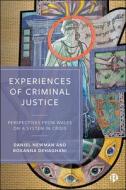Experiences of Criminal Justice: Perspectives from Wales on a System in Crisis di Daniel Newman, Roxanna Dehaghani edito da BRISTOL UNIV PR