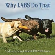 Why Labs Do That: A Collection of Curious Labrador Retriever Behaviors di Tom Davis edito da WILLOW CREEK PR