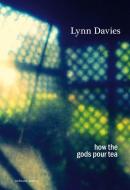 how the gods pour tea di Lynn Davies edito da Gooselane Editions