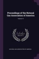 Proceedings of the Natural Gas Association of America; Volume 14 edito da CHIZINE PUBN