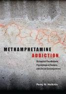 Methamphetamine Addiction di Perry N. Halkitis edito da American Psychological Association