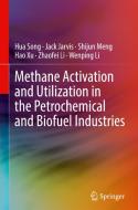 Methane Activation and Utilization in the Petrochemical and Biofuel Industries di Hua Song, Jack Jarvis, Wenping Li, Hao Xu, Zhaofei Li, Shijun Meng edito da Springer International Publishing
