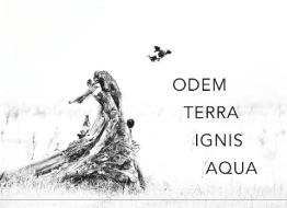 Odem Terra Ignis Aqua di Herwig K. Troppko edito da Books on Demand