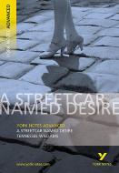 Streetcar Named Desire: York Notes Advanced di T. Williams edito da Pearson Education Limited