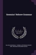 Gesenius' Hebrew Grammar di Wilhelm Gesenius, Emil Roediger edito da CHIZINE PUBN