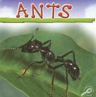 Ants di Jason Cooper edito da Rourke Publishing (FL)