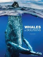 Whales & Dolphins di Tom Jackson edito da AMBER BOOKS