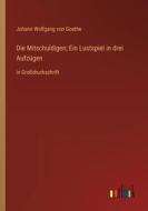 Die Mitschuldigen; Ein Lustspiel in drei Aufzügen di Johann Wolfgang von Goethe edito da Outlook Verlag