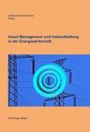 Asset Management und Instandhaltung in der Energiewirtschaft edito da KS-Energy Verlag