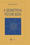 A Geometrical Picture Book di Burkard Polster edito da Springer New York