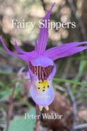 Fairy Slippers di Peter Waldor edito da KELSAY BOOKS