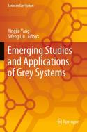 Emerging Studies and Applications of Grey Systems edito da Springer Nature Singapore