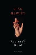 Rapture's Road di Sean Hewitt edito da Vintage Publishing