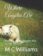 Where Angeles Are: The Past Will Eventually Rise to the Surface di Michael C. Williams edito da INDEPENDENTLY PUBLISHED