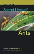 Secret Lives of Ants di Jae Choe edito da J. Hopkins Uni. Press