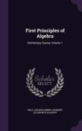 First Principles Of Algebra di Nels Johann Lennes, Herbert Ellsworth Slaught edito da Palala Press