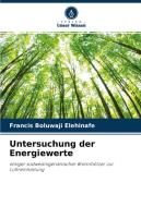 Untersuchung der Energiewerte di Francis Boluwaji Elehinafe edito da Verlag Unser Wissen