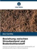 Beziehung zwischen Streubestand und Bodenkohlenstoff di Ane Carrilho edito da Verlag Unser Wissen