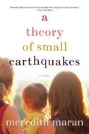 A Theory of Small Earthquakes di Meredith Maran edito da SOFT SKULL PR