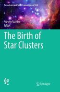 The Birth of Star Clusters edito da Springer International Publishing