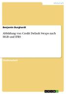 Abbildung von Credit Default Swaps nach HGB und IFRS di Benjamin Burghardt edito da GRIN Verlag