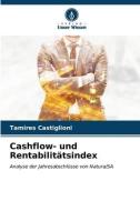 Cashflow- und Rentabilitätsindex di Tamires Castiglioni edito da Verlag Unser Wissen