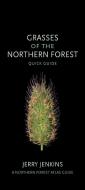Grasses Of The Northern Forest di Jerry Jenkins edito da Cornell University Press