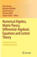 Numerical Algebra, Matrix Theory, Differential-Algebraic Equations and Control Theory edito da Springer International Publishing