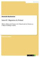 Intra-EU Migration & Poland di Dominik Bachmeier edito da GRIN Verlag