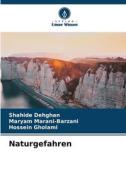 Naturgefahren di Shahide Dehghan, Maryam Marani-Barzani, Hossein Gholami edito da Verlag Unser Wissen