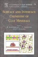 Surface and Interface Chemistry of Clay Minerals di Johnston, Faiza Bergaya, Robert Schoonheydt edito da Elsevier Health Sciences