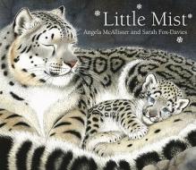 Little Mist di Angela McAllister edito da Simon & Schuster