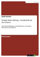 Projekt findet Stiftung - Gesellschaft hat den Nutzen di Emile Stricker edito da GRIN Verlag