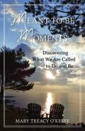 Meant-To-Be Moments: Discovering What We Are Meant to Do and Be di Mary Treacy O'Keefe edito da WISE INK