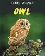 British Animals: Owl di Stephen Savage edito da Hachette Children's Group