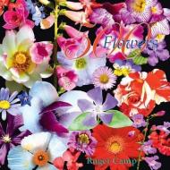500 Flowers di Roger Camp edito da Dewi Lewis Media