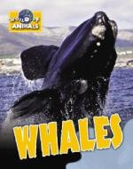Whales di Robyn Hardyman edito da Brown Bear Books